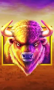 Buffalo King